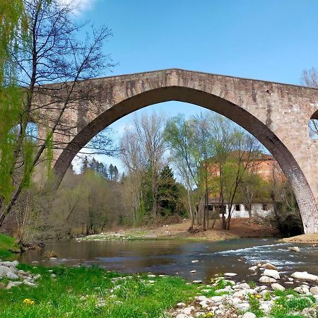 Can Planas Soleado, Amplio Con Vistas Y Parking Sant Joan de les Abadesses Εξωτερικό φωτογραφία